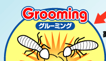 Grooming グルーミング
