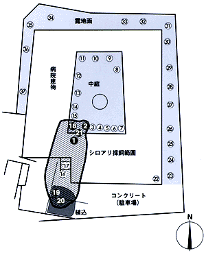 セントリコン・ステーション配置図